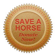 DonateBadge_leather_redstitch