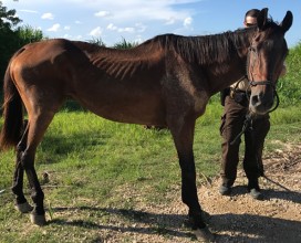 Ethel_intake_right_07092017_web