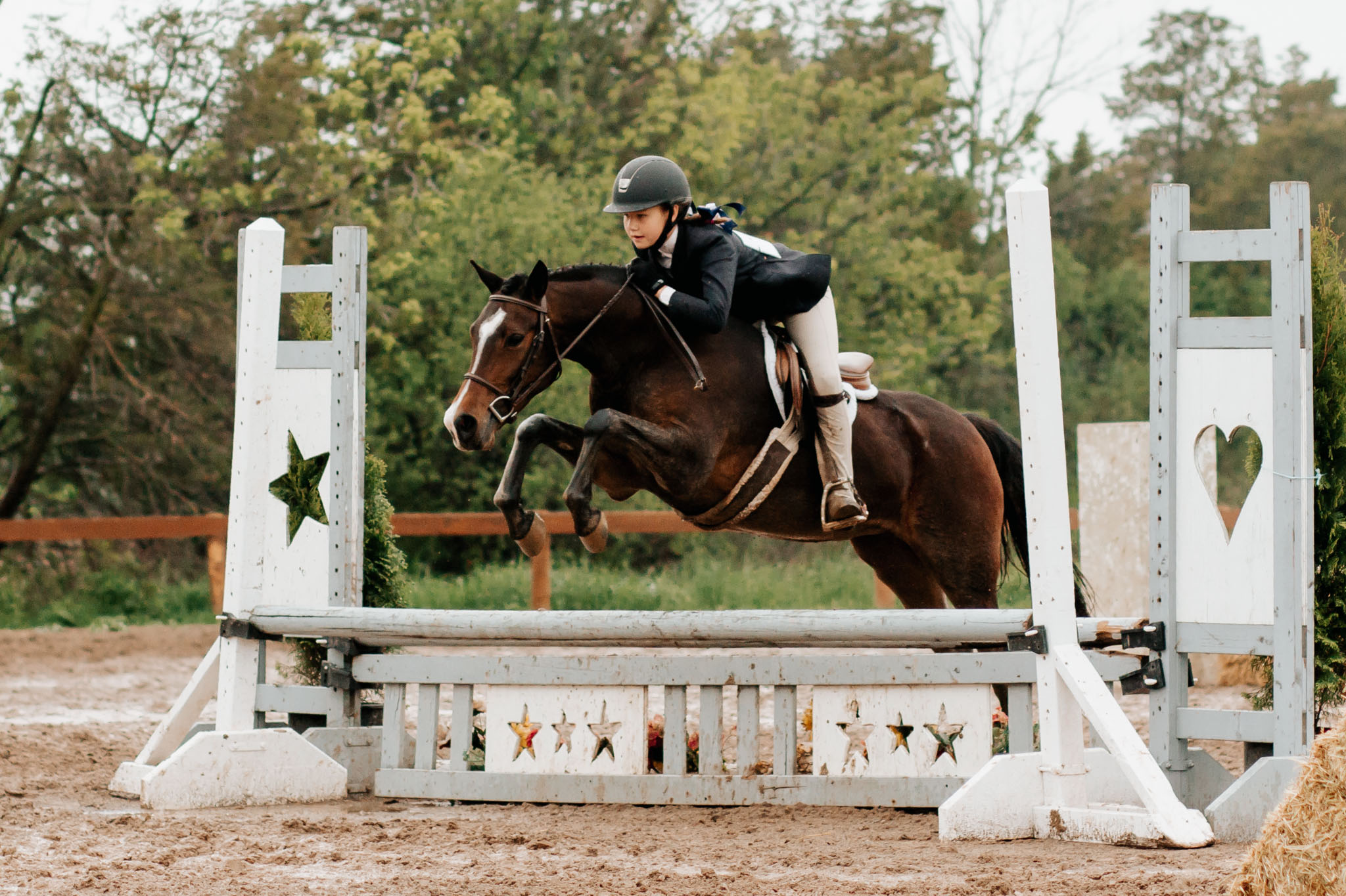 Against All Odds: Rescue Pony Overcomes Abusive Past and Shines in the