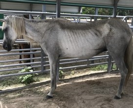 Tia_left_08052017
