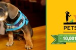 PTM_10_001_website_banner