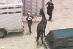 Photo: local10.com
