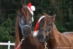 Alice&Ally_DSC_6216