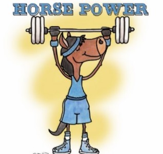 https://www.spca-sofla.org/wp-content/uploads/2014/03/Horse-Exercise.jpg