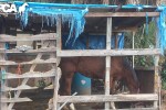 She'sAFreshy_Stall_branded