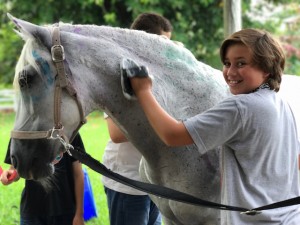 Cushman_05192017_IMG_9334
