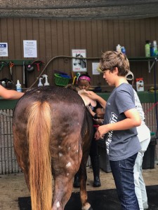 Cushman_05192017_IMG_9336
