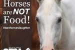 HorsesAreNotFood
