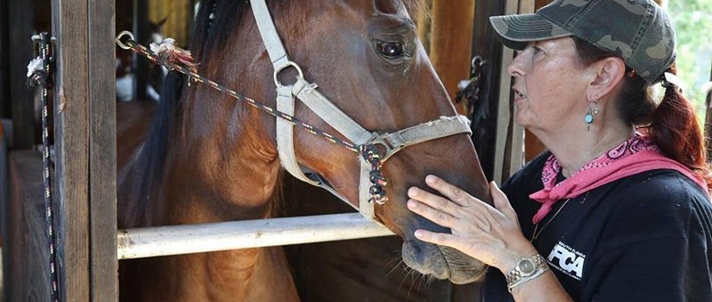 SFSPCA Horse Evacuation 0907_AL DIAZ MIAMI HERALD