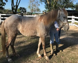 Cece_intake_12272017_IMG_2802_web