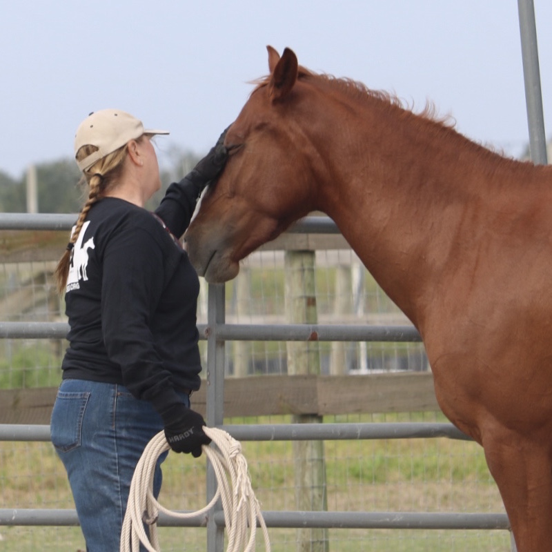 Ginger rewarding Marley with a rub