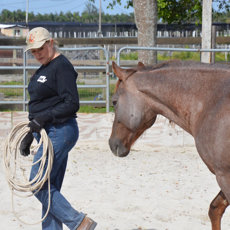 Ginger and Ronnie partnering up