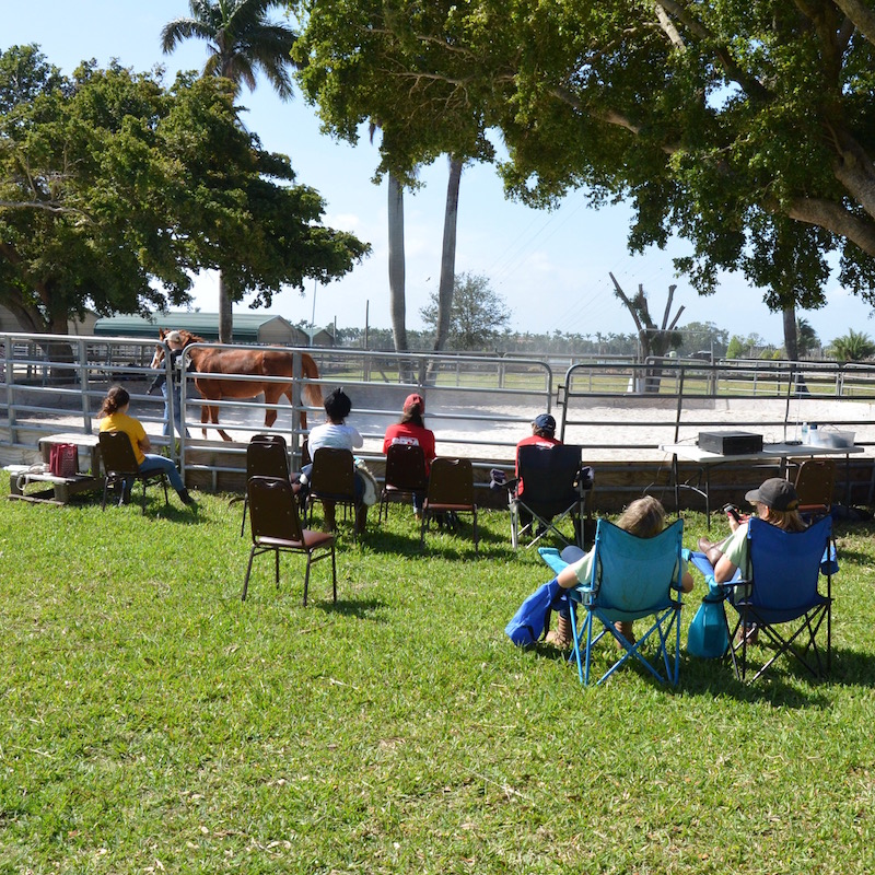 Members and volunteers observing