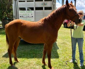 Chazz_intake-right_03172018_web