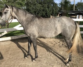 Christi-06012018-IMG_4753-web