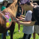 SFSPCA-Cushman_10-39-51-AM-web