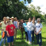 SFSPCA-Cushman_10-47-47-AM-web