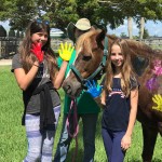 SFSPCA-Cushman_10-56-54-AM-web
