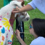 SFSPCA-Cushman_11-17-00-AM-web
