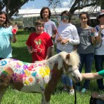 SFSPCA-Cushman_11-19-53-AM-web