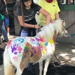 SFSPCA-Cushman_11-31-53-AM-web