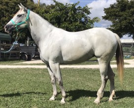 Flo-IMG_0463-02032019 web