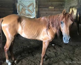 Leo_intake_IMG_6122_08072018_web