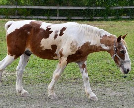 George-DSC_1343-12262018-web