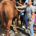 SFSPCA-FIU-PREVET-Dec-02-11-02-25-AM