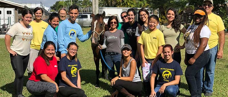 SFSPCA-FIU-PREVET-Dec-02-11-26-00-AM