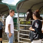 South-Florida-SPCA-Farm-to-Stable-DSC08455