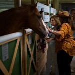 South-Florida-SPCA-Farm-to-Stable-DSC08483