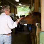 South-Florida-SPCA-Farm-to-Stable-DSC08497
