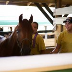 South-Florida-SPCA-Farm-to-Stable-DSC08515