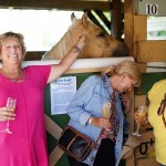 South-Florida-SPCA-Farm-to-Stable-DSC08525