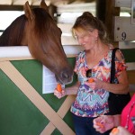 South-Florida-SPCA-Farm-to-Stable-DSC08529