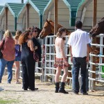 South-Florida-SPCA-Farm-to-Stable-DSC_7693