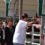 South-Florida-SPCA-Farm-to-Stable-DSC_7708