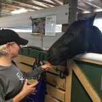 South-Florida-SPCA-Farm-to-Stable-IMG_1308