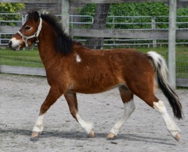 Magic-IMG_4198-02082019-web
